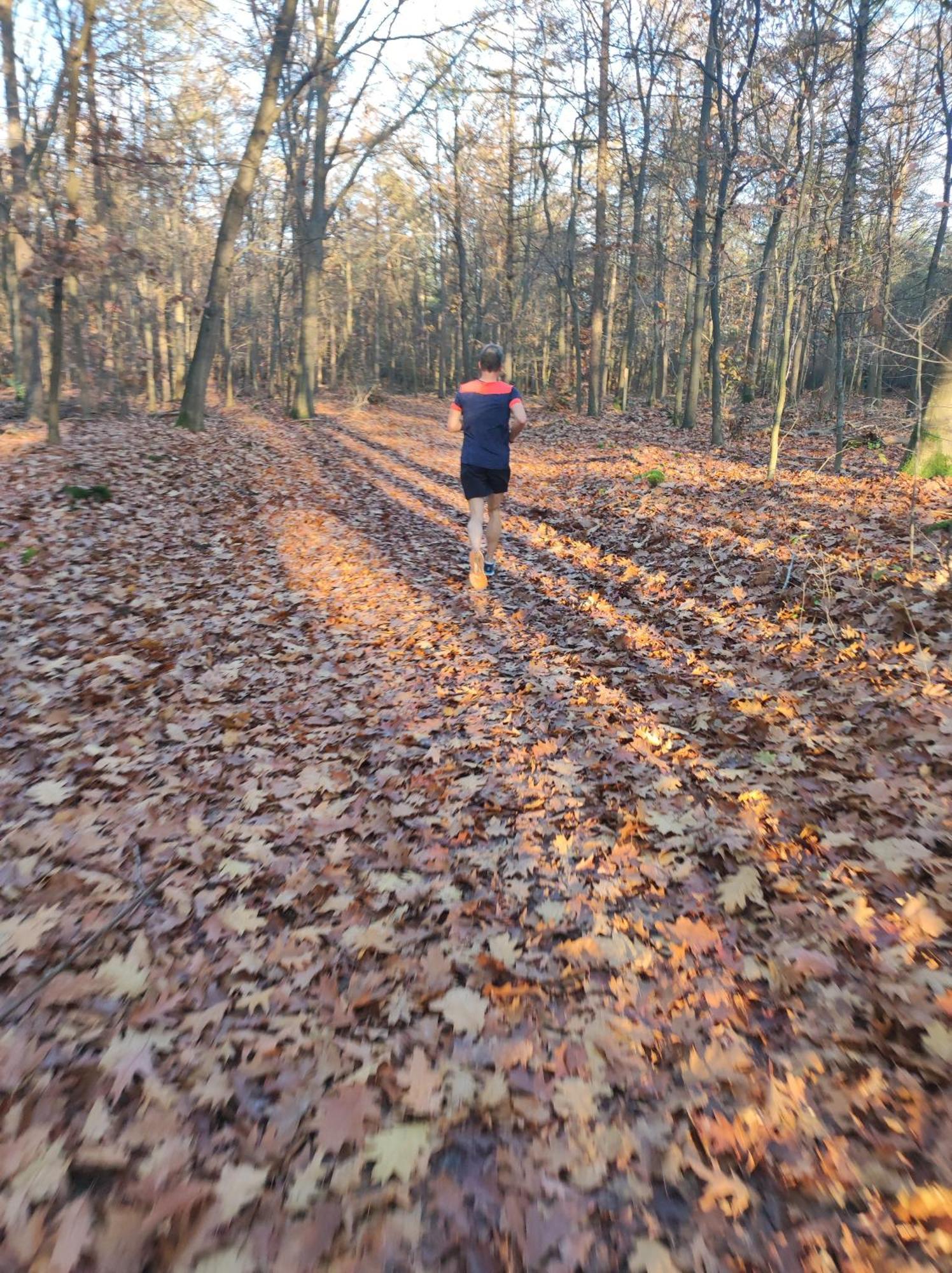 Poort Van De Veluwe Voorthuizen Exterior foto